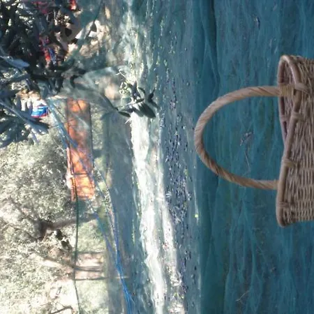 La Selva Dell'ampolla *