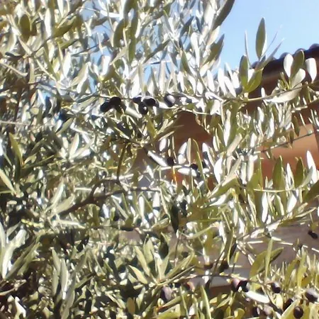 La Selva Dell'ampolla Civitaquana