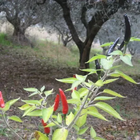 La Selva Dell'ampolla Feriehus